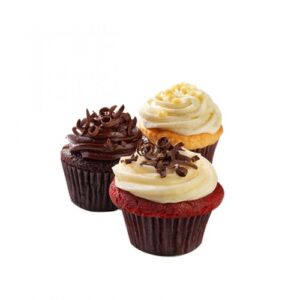 Chocolate Muffin